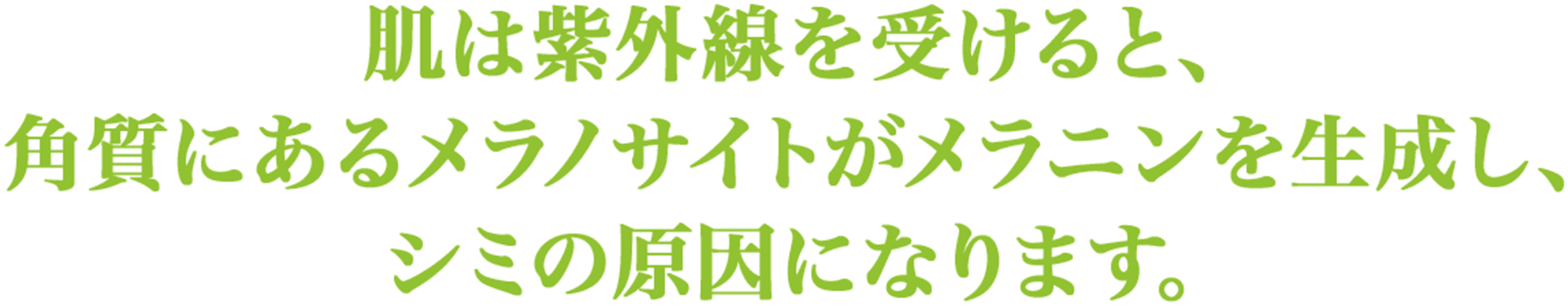 肌は紫外線を受けると、 角質にあるメラノサイトがメラニンを生成し、 シミの原因になります。